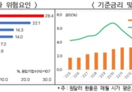 대기업 60% “하반기 투자도 상반기 수준 넘기 힘들 듯”