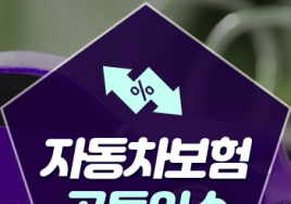 고령 교통사고 사후대처법② 잦은 보험처리와 ‘공동인수’