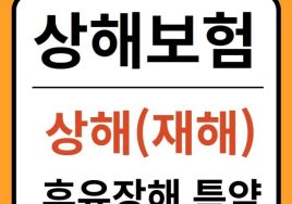 보험 '후유장해 특약'으로 비싼 치매보험을 대신?
