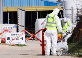 2년 만에 전남 영암 한우농가서 구제역 발생 ‘비상’
