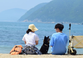 “여름아, 반갑다” 폭염 속 전국 각지 해수욕장 ‘활짝’