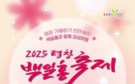 ‘2025 평창 백일홍축제’ 등